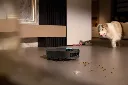 Pet Activity Hotspotsjpg.webp